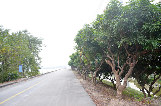 乡村道路