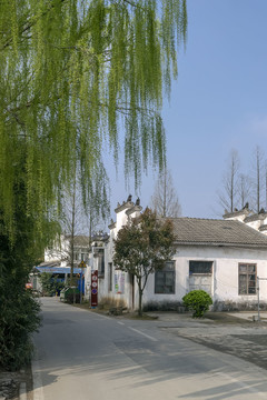 美丽乡村
