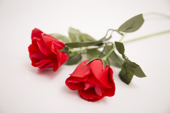两支红玫瑰