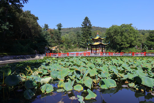 丹东锦江山公园