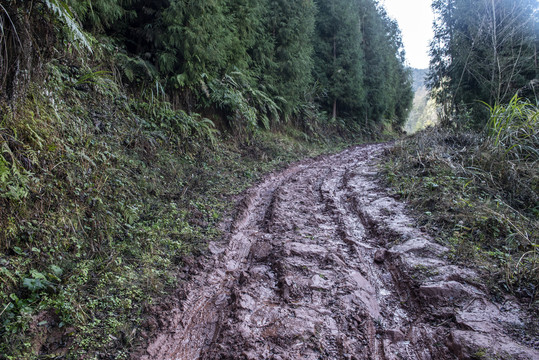 道路山区小道