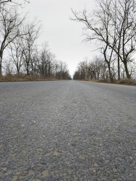 乡愁道路