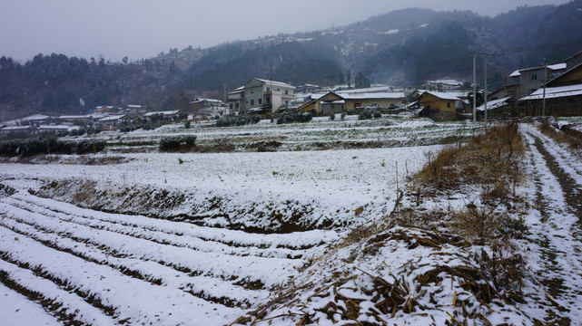 雪花漫天七