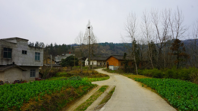村庄