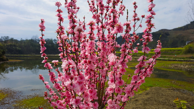 竹溪县桃花岛九