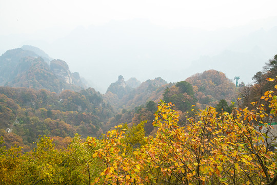 武当山风光