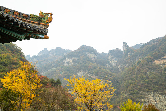 武当山建筑屋脊