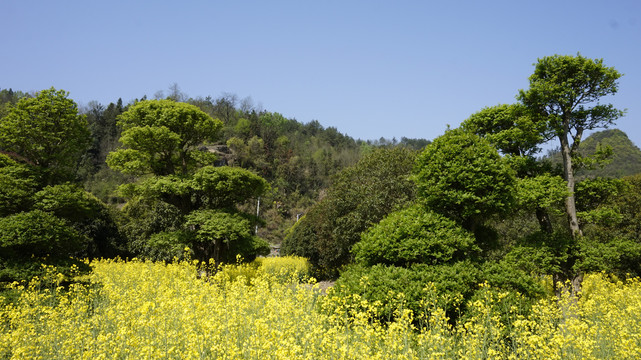 大石门四