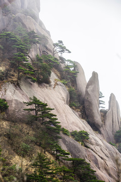 安徽黄山风景区