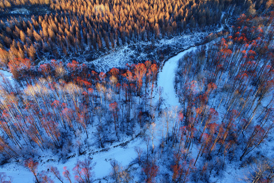 雪原雪河树林夕照