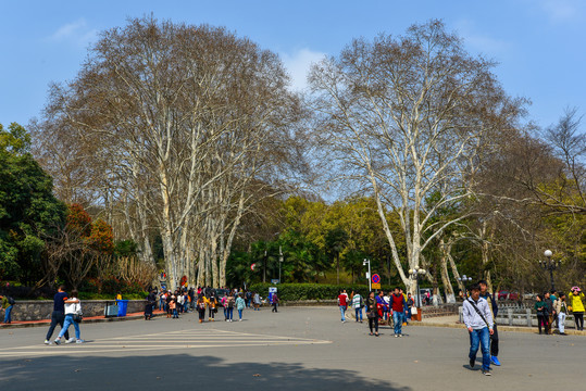 武汉大学校园