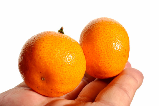 贡柑橘
