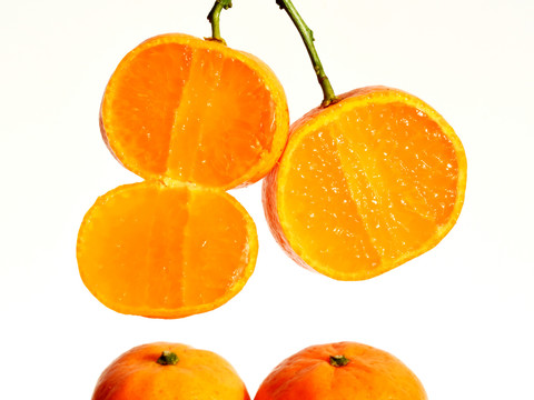 橘子白底