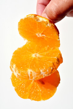 橘子剖面