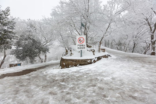 风雪紫金山