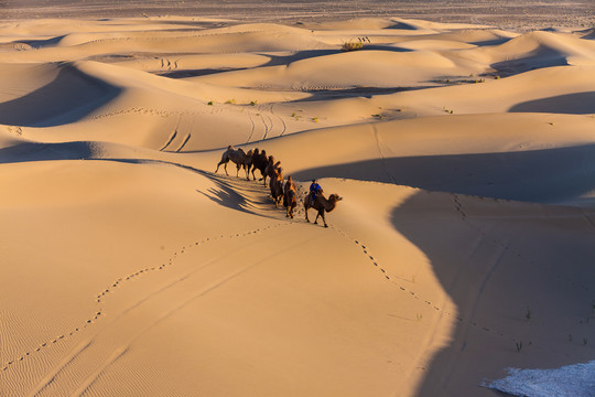阿拉善沙漠黄昏骆驼太阳光影73