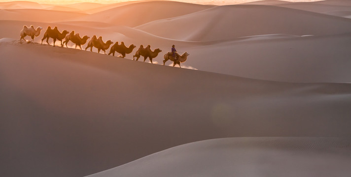 阿拉善沙漠黄昏骆驼太阳光影3