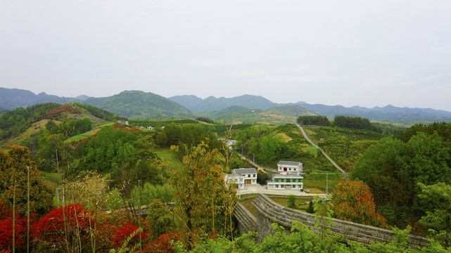 蒋家堰莲花寺全景四