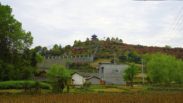 蒋家堰莲花寺七