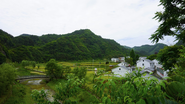 龙坝风景三