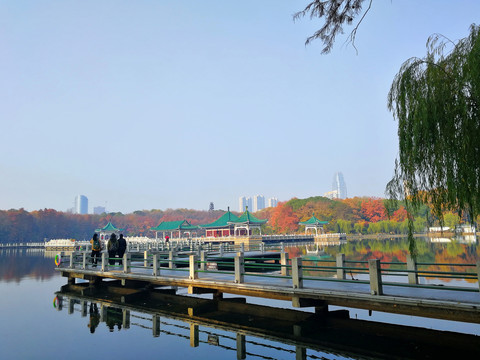 东湖风光