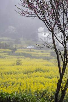 江西婺源江岭风光