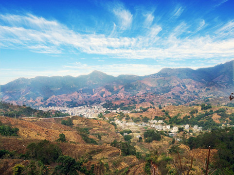茶山
