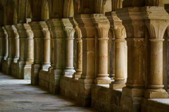 法国中世纪丰特莱修道院石柱走廊