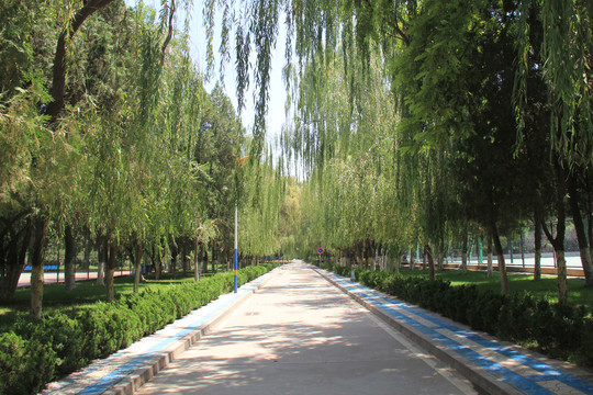 中国甘肃兰州大学