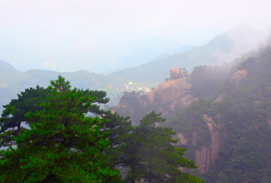 高山云雾