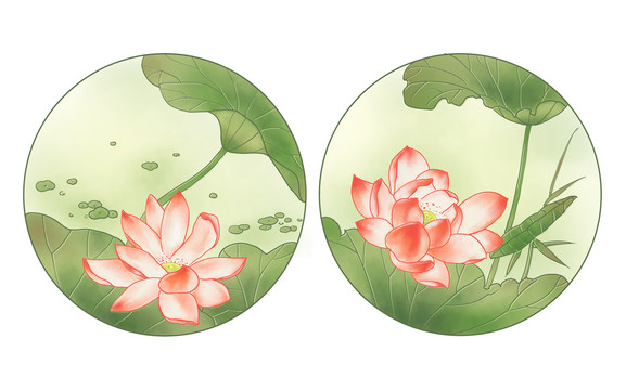 荷花