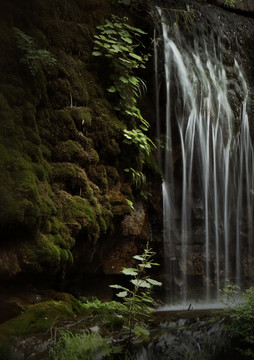 云台山泉瀑峡