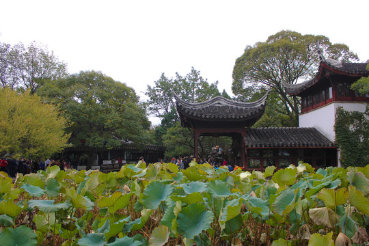 拙政园香洲