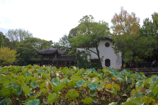 拙政园香洲