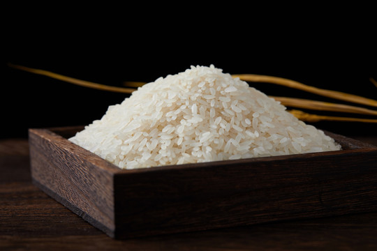 大米米饭