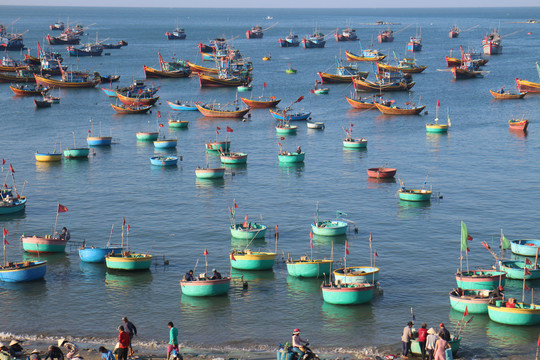 越南美奈渔船