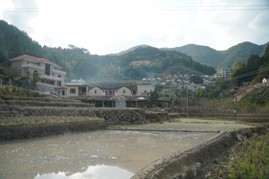 山村犁完的田