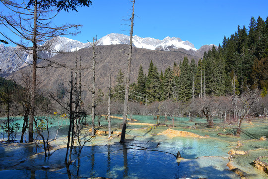 黄龙盆景池