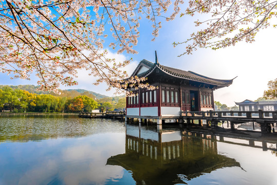 杭州西湖风光曲院风荷春景