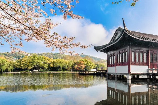 杭州西湖风光曲院风荷春景