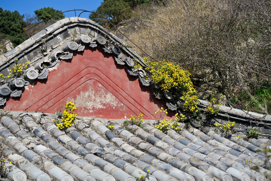 古建筑屋顶
