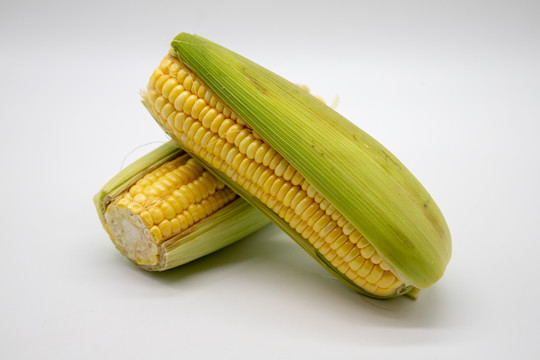 玉米
