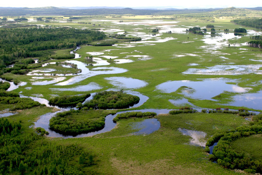 额尔古纳根河湿地