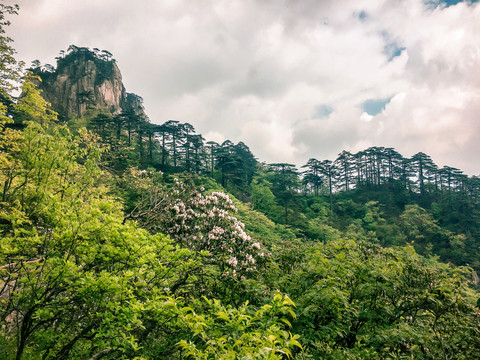 黄山