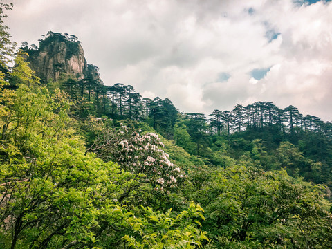 黄山