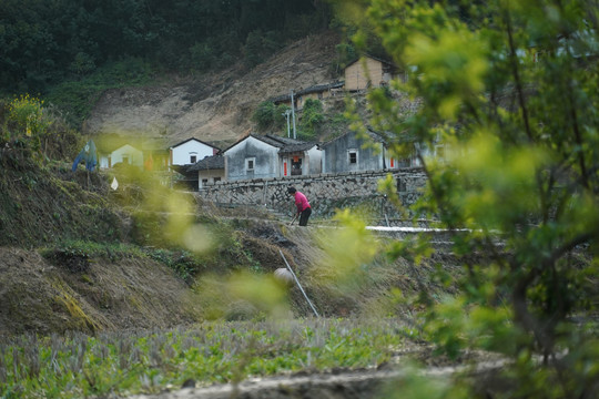 山村耕种