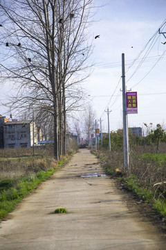 乡村道路