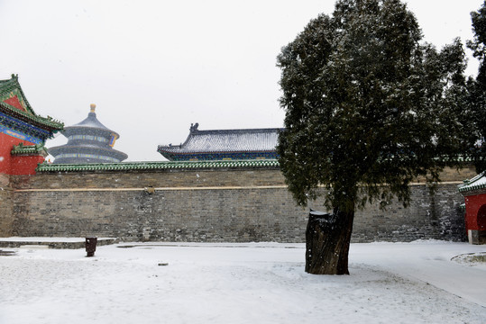 天坛雪景风光