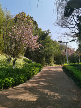 公园道路游路休闲步道景观