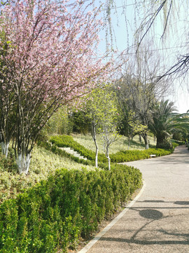 公园道路游路休闲步道景观